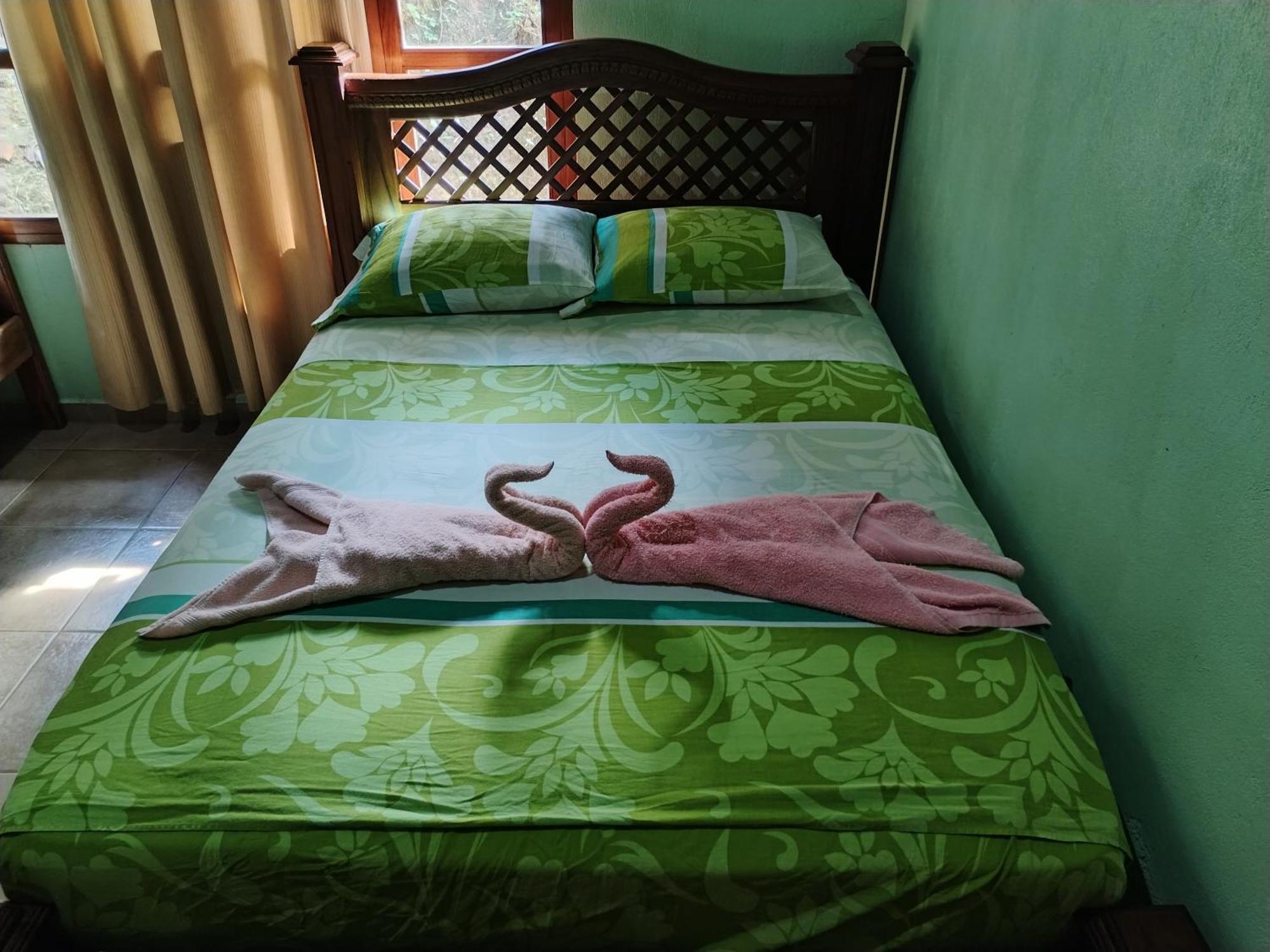 Osa House - Drake Corcovado Tours Bed and Breakfast Drakes Bay Exteriör bild
