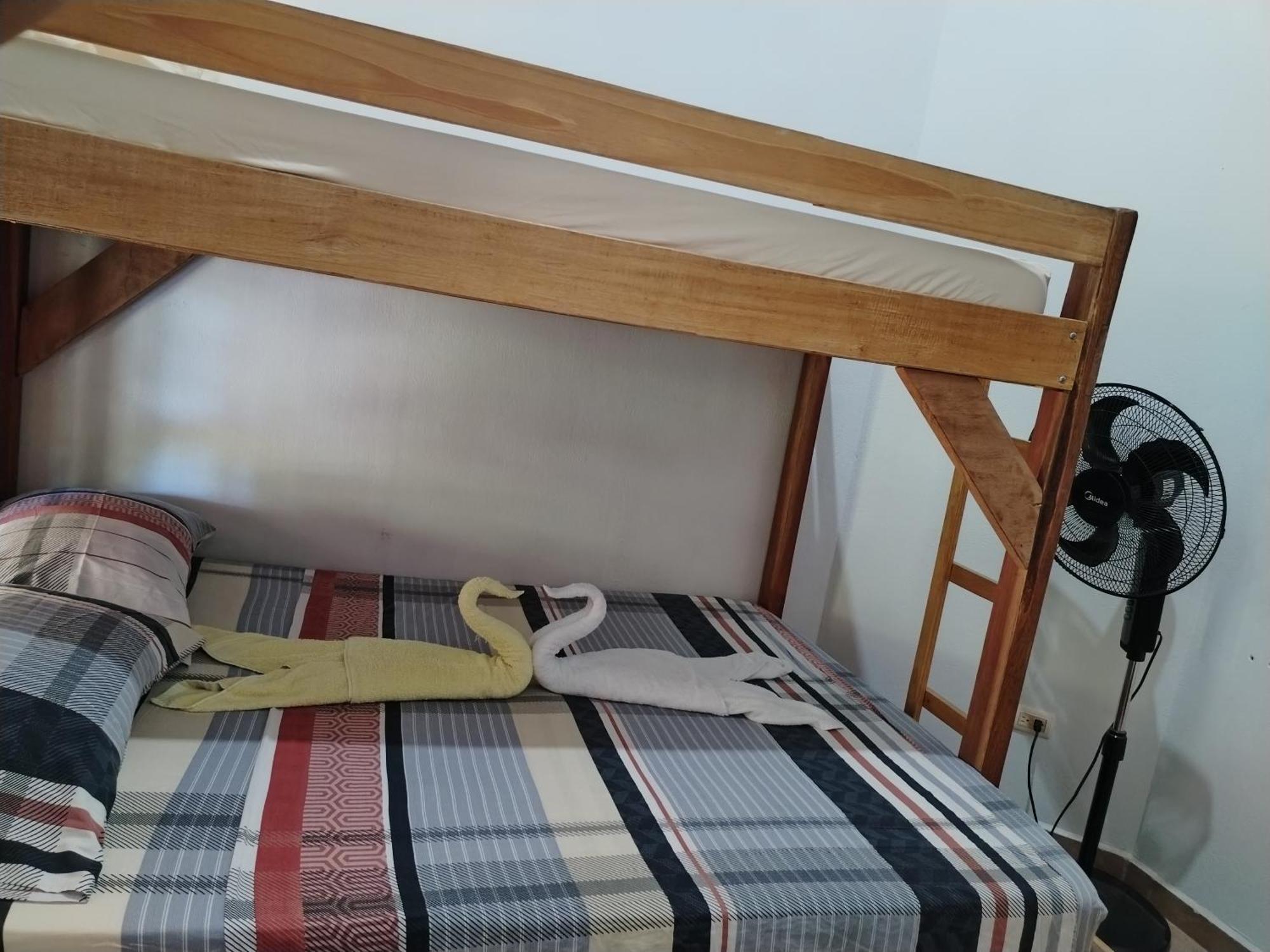 Osa House - Drake Corcovado Tours Bed and Breakfast Drakes Bay Exteriör bild